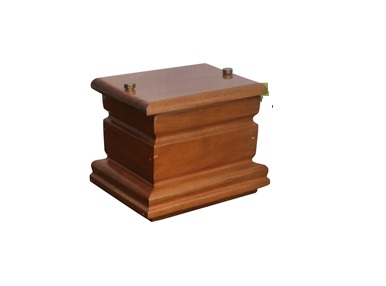 Urna Canciller Angelito